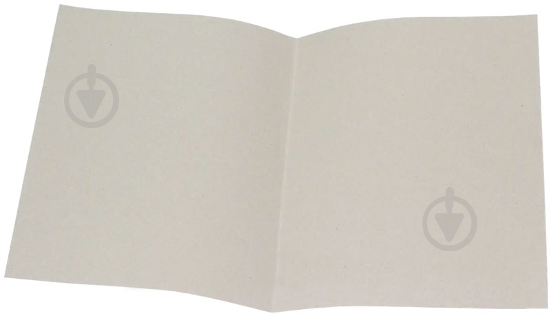 Папка-дело А4 0,42 мм. картон GD-2 Бумвест - фото 2