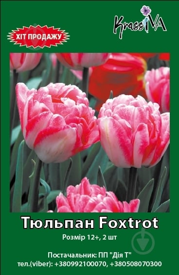 Луковица тюльпана Foxtrot 2 шт. KrassIVA - фото 1