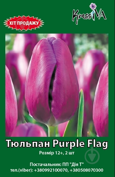 Луковица тюльпана Purple flag 2 шт. KrassIVA - фото 1
