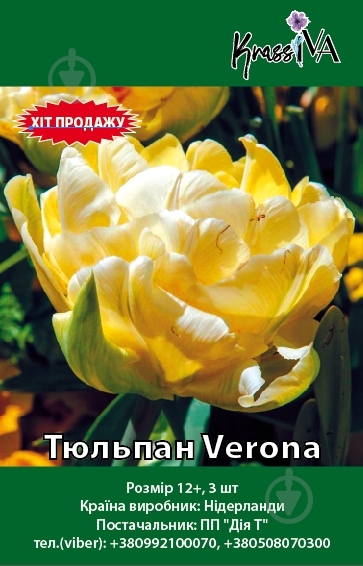 Цибулина тюльпана Verona 2 шт. KrassIVA - фото 1