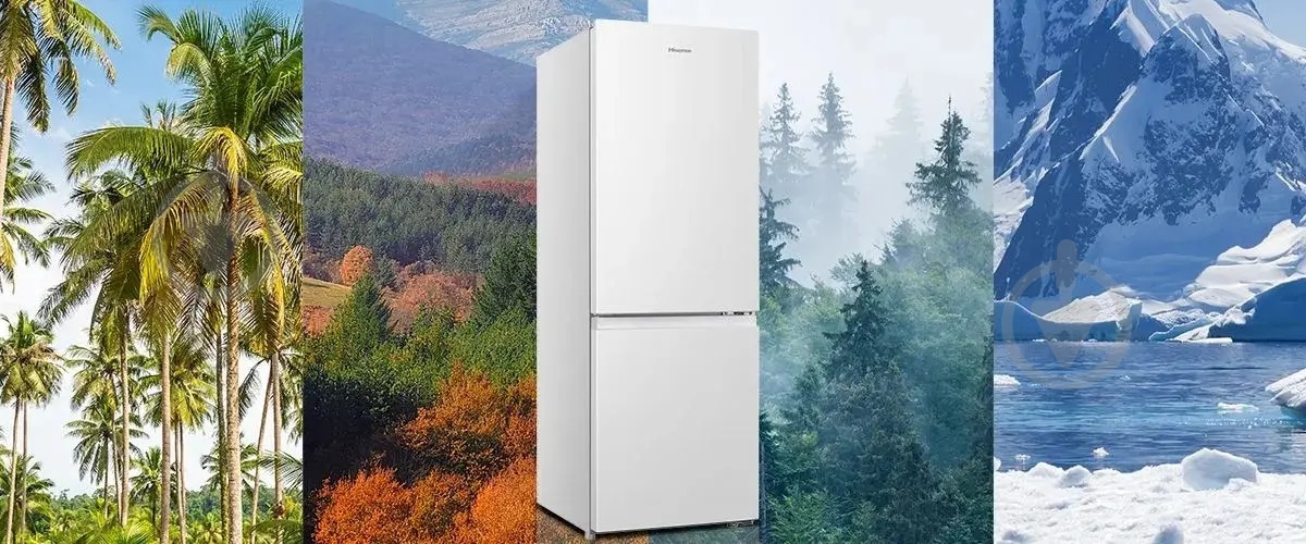 Холодильник Hisense RB224D4BWF (BCD-171) - фото 12