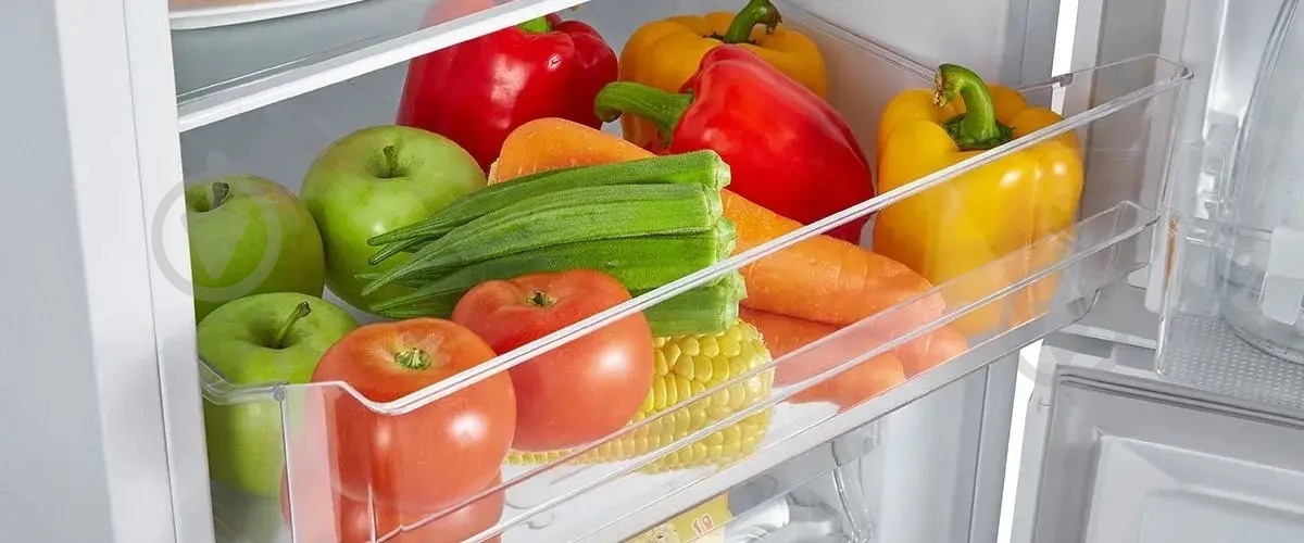 Холодильник Hisense RB224D4BWF (BCD-171) - фото 8