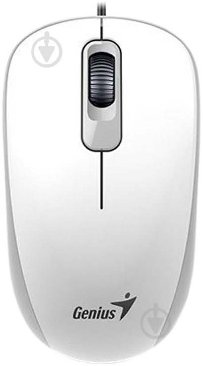 Мышь Genius DX-110 USB White (31010116102) - фото 1