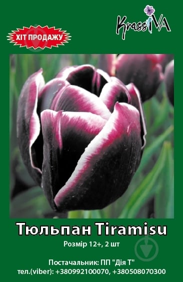 Цибулина тюльпан Tiramisu 2 шт. KrassIVA - фото 1