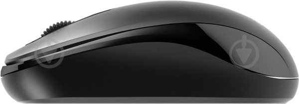 Мышь Genius DX-110 USB Black (31010116100) - фото 2