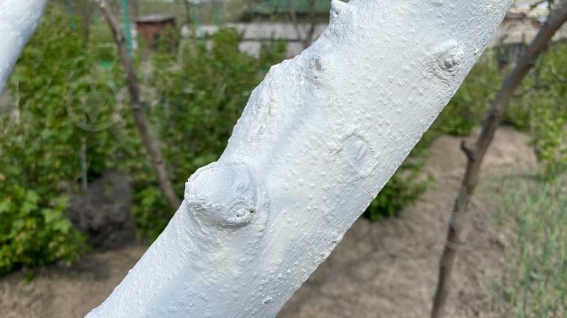 Краска садовая Plasmir для деревьев и кустов 1,4 кг - фото 3 Краска садовая Plasmir для деревьев и кустов 1,4 кг - фото 3