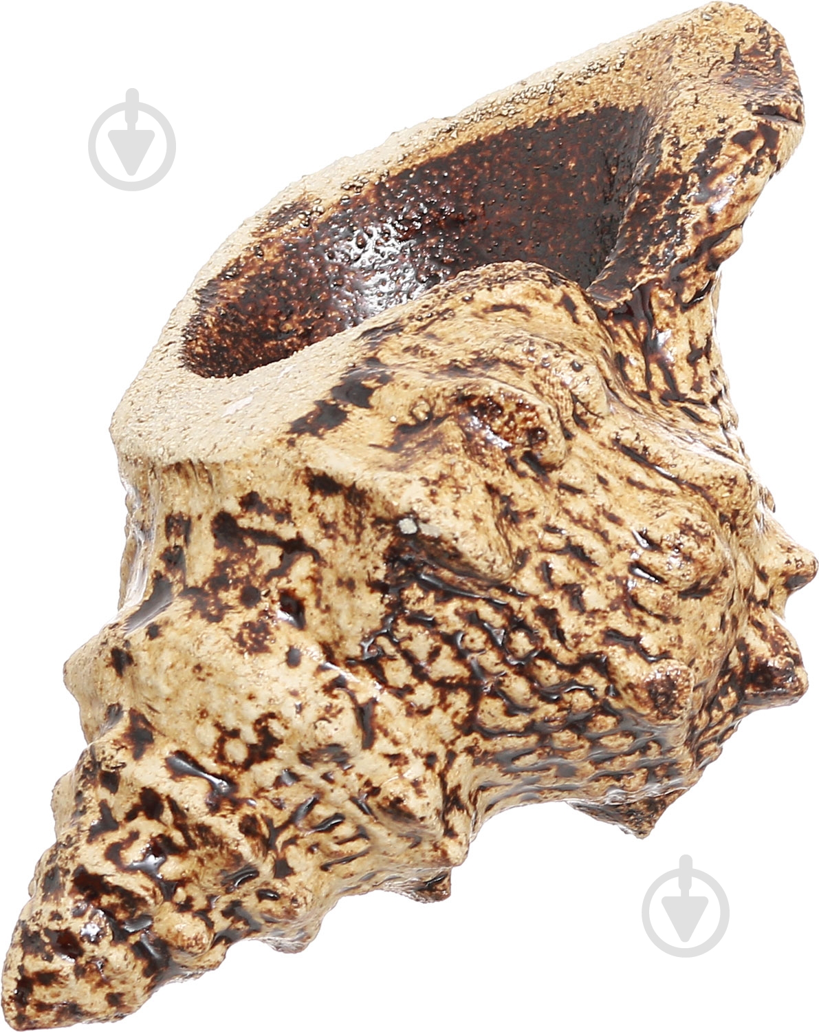 Випарник Наш шлях Дар Посейдона - фото 3