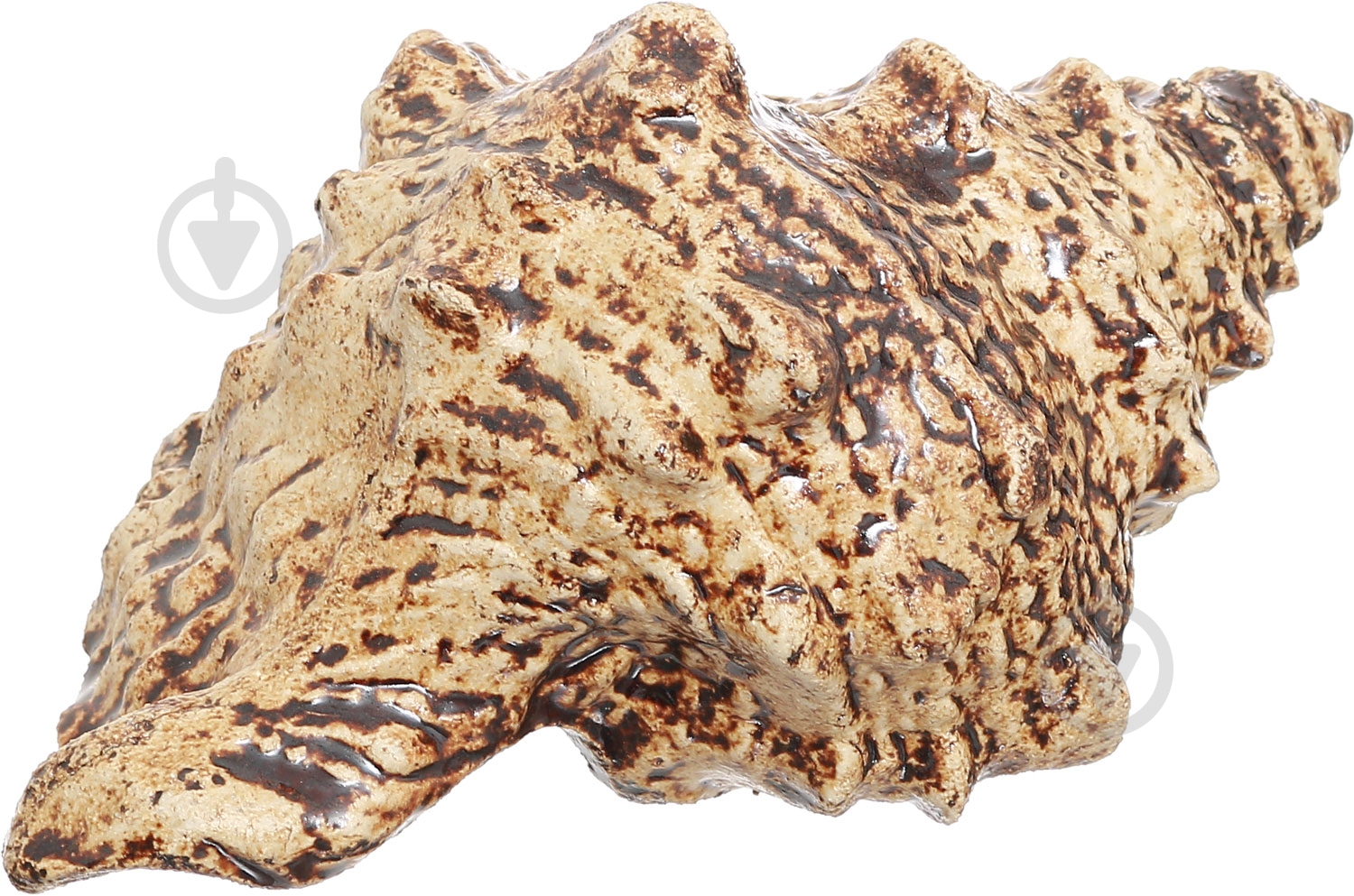 Випарник Наш шлях Дар Посейдона - фото 2