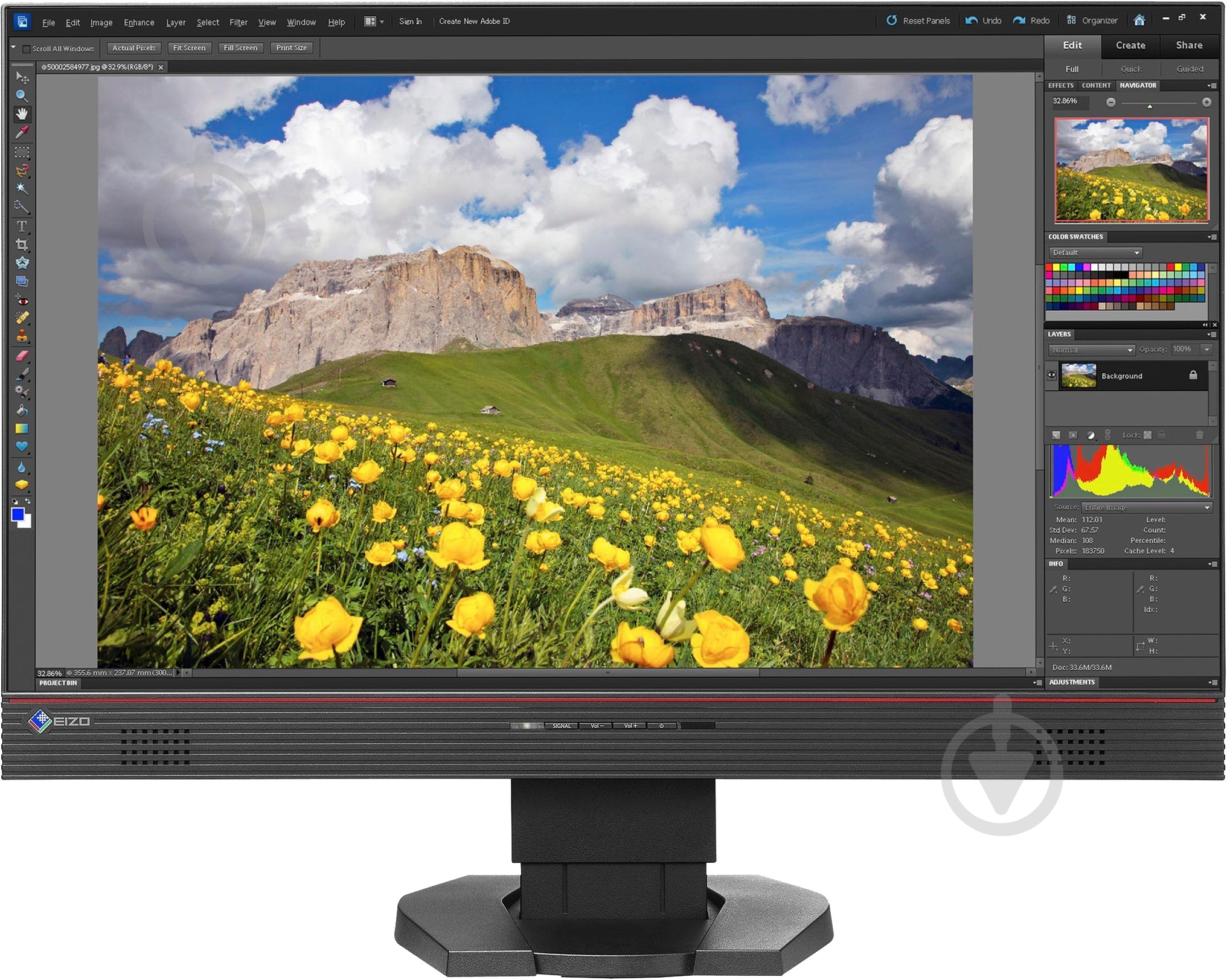 Монитор Eizo Foris 23,8" (FS2434-BK) - фото 1