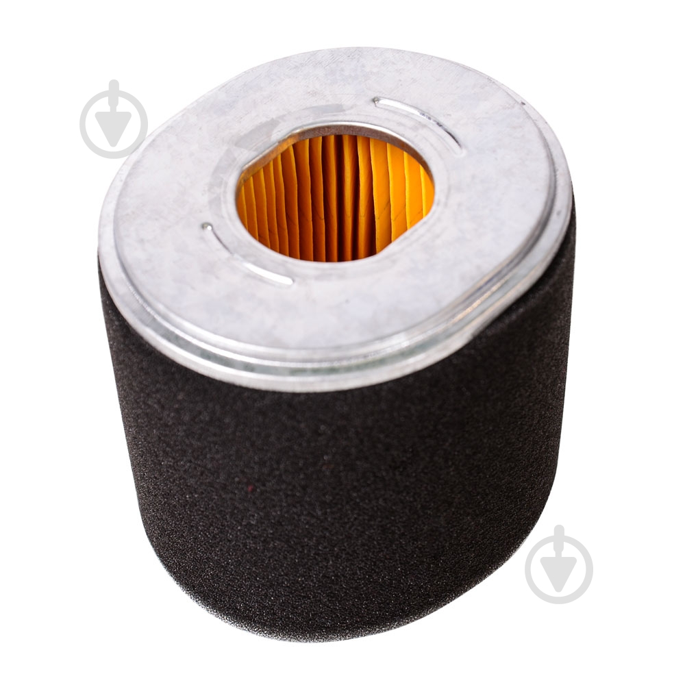 Двигун бензиновий Vitals QBM 15.0ke - фото 8