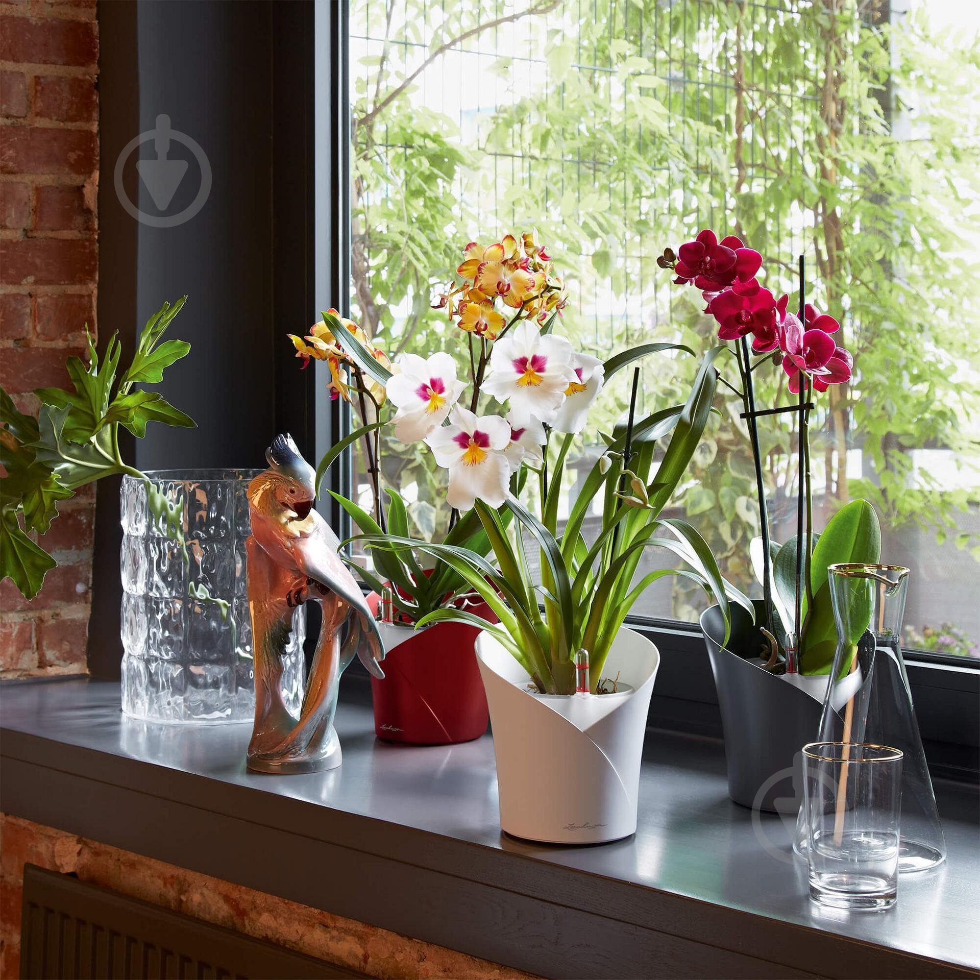 Вазон пластиковий Lechuza ORCHIDEA фігурний 1 л білий (13960) - фото 6