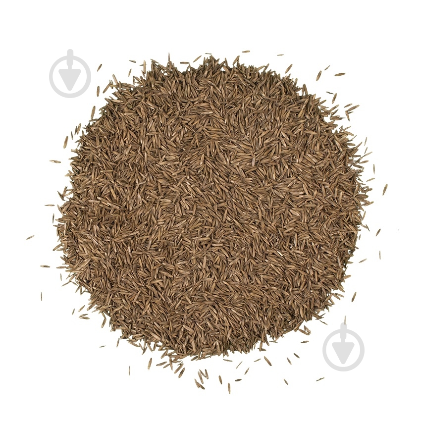 Смесь семян GREEN SEEDS газонная трава универсальная 1 кг - фото 4