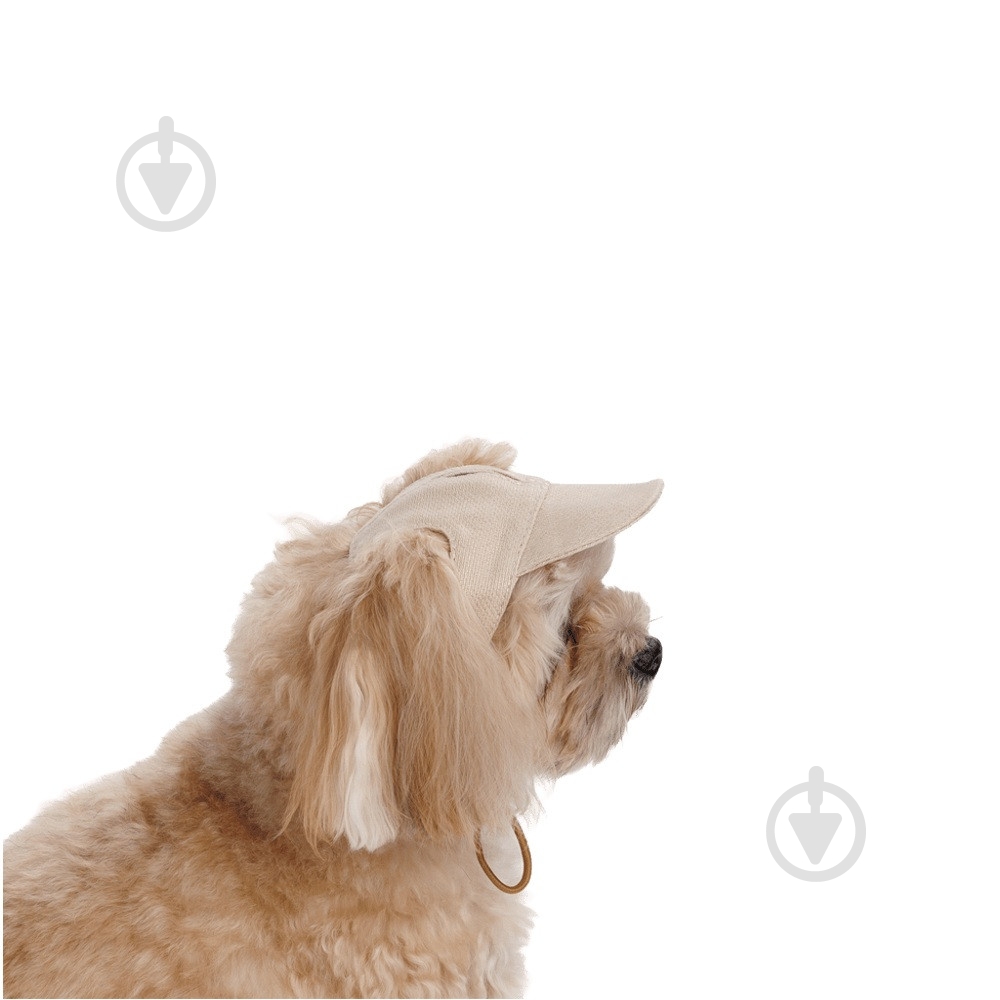 Кепка Pet Fashion Glamor М - фото 2