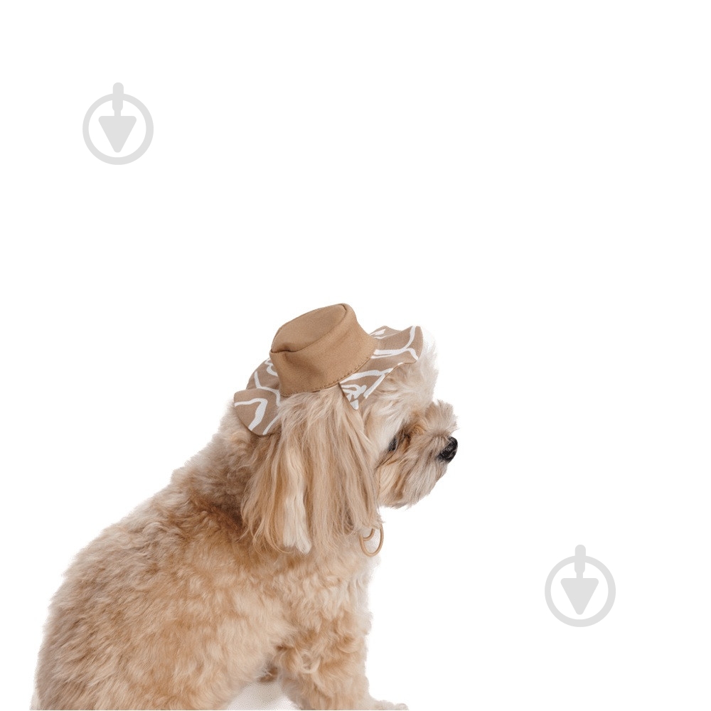 Панамка Pet Fashion Print L - фото 2 Панамка Pet Fashion Print L - фото 2