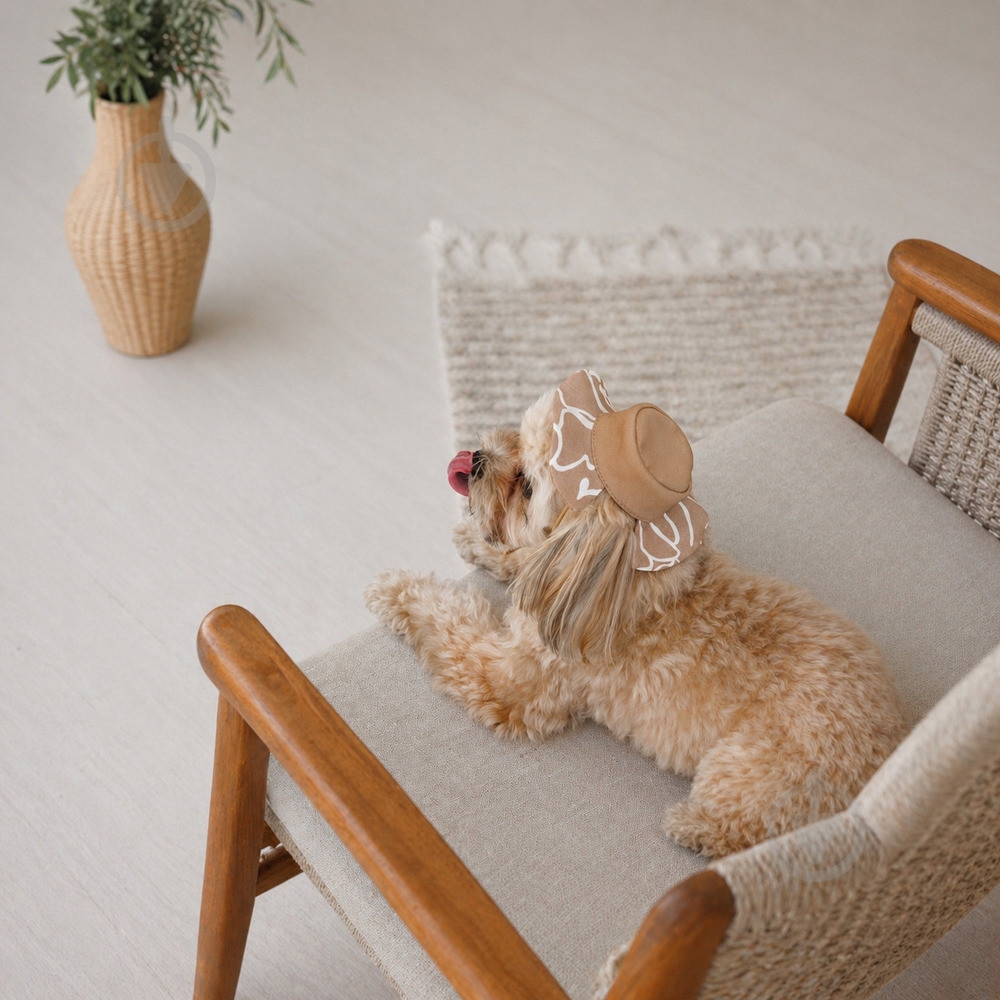 Панамка Pet Fashion Print L - фото 3 Панамка Pet Fashion Print L - фото 3