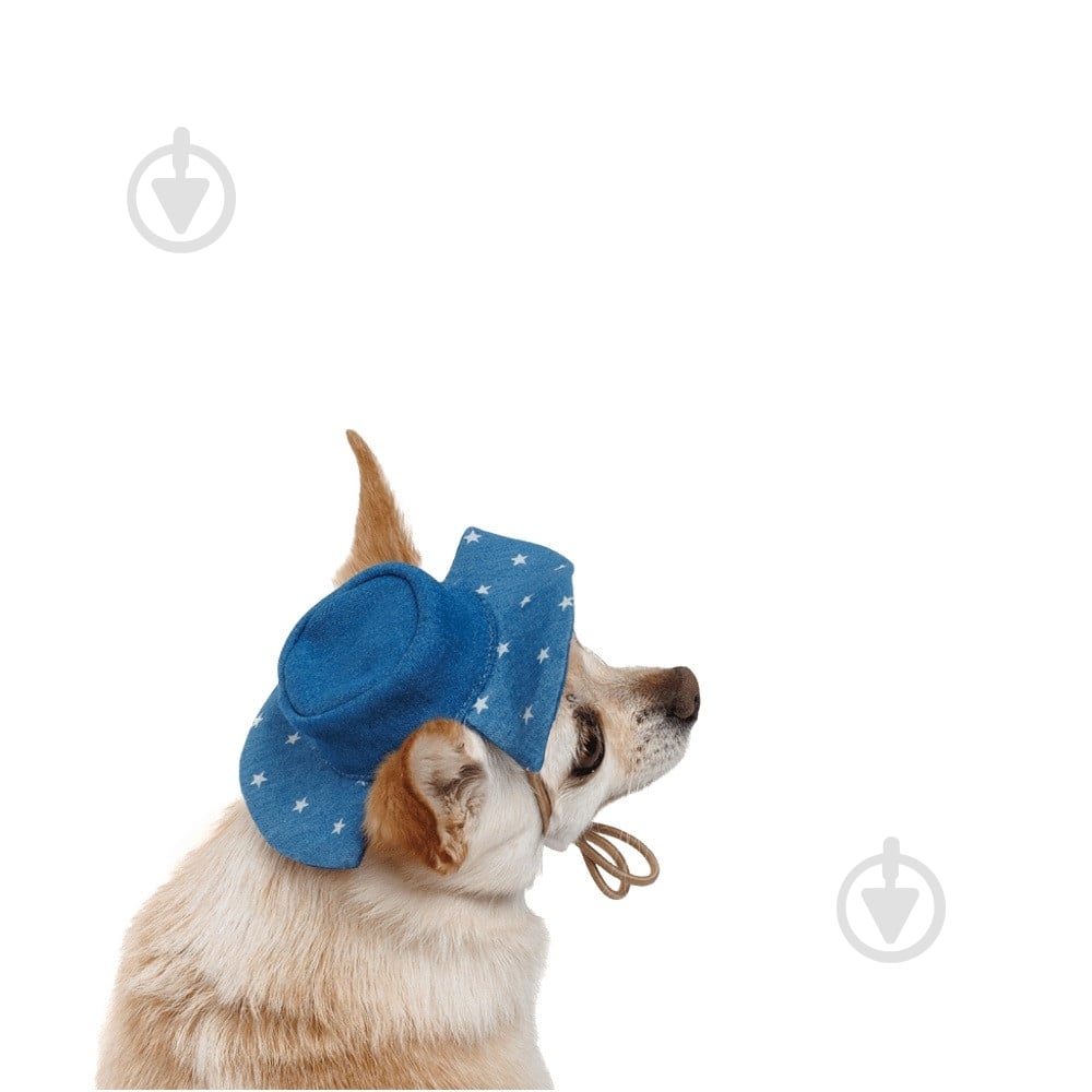 Панамка Pet Fashion Stars S - фото 2