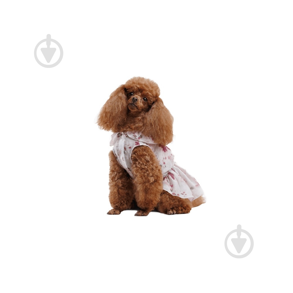 Платье Pet Fashion Amelia М - фото 4 Платье Pet Fashion Amelia М - фото 4