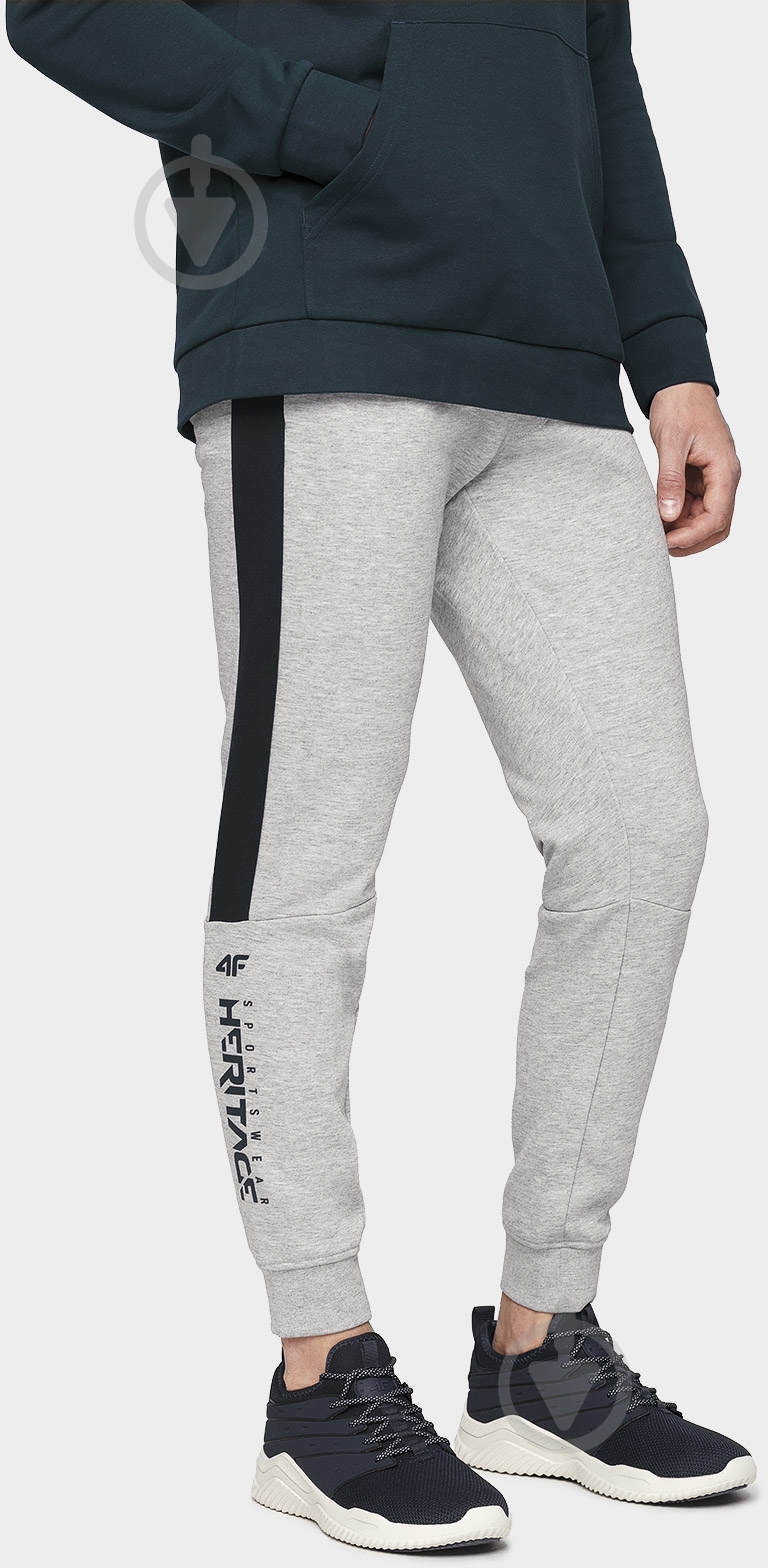 Брюки 4F D4L20-SPMD212-27M р. L серый - фото 1