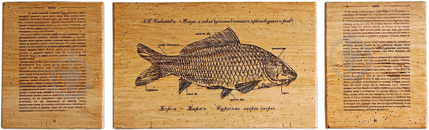Картина Fish-Point триптих "Карп" серия Сабанеев 200х250 мм 400х250 мм 200х250 мм - фото 1 Картина Fish-Point триптих "Карп" серия Сабанеев 200х250 мм 400х250 мм 200х250 мм - фото 1