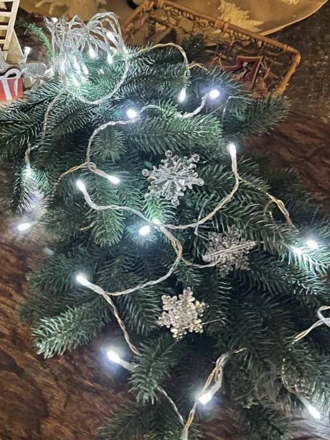 Гирлянда Blachere CARA100D холодная белая светодиодная (LED) 100 ламп 10 м - фото 1