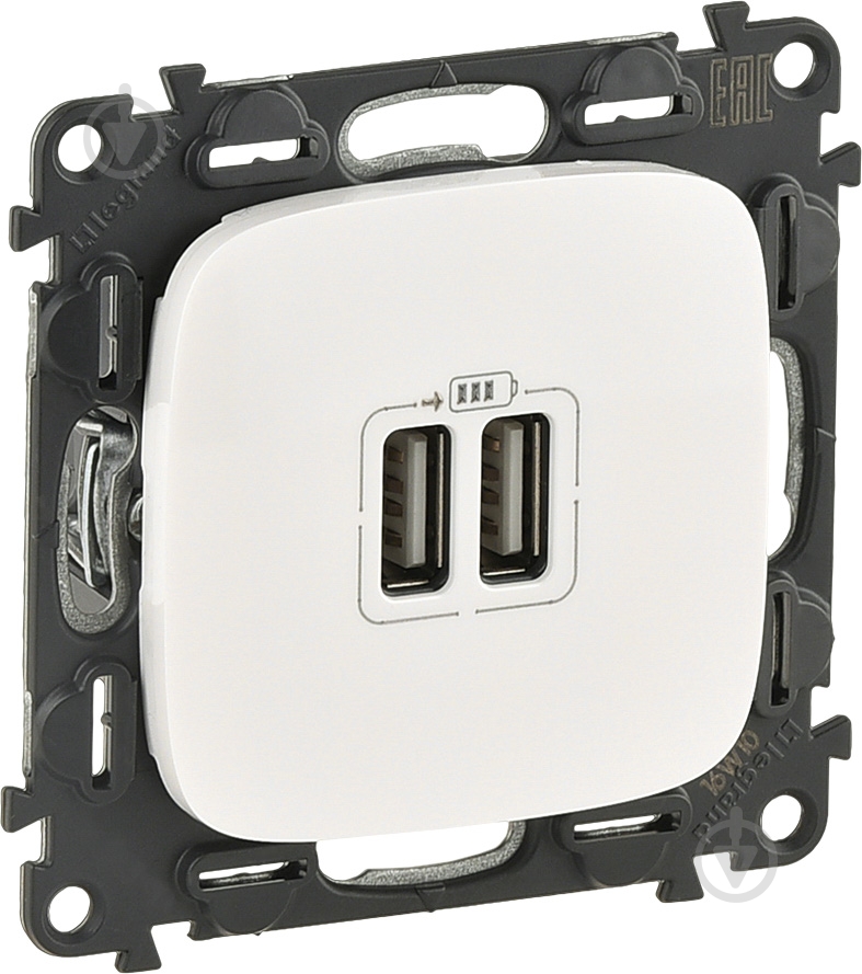 Розетка USB Legrand Allure белый 754995 - фото 1 Розетка USB Legrand Allure белый 754995 - фото 1