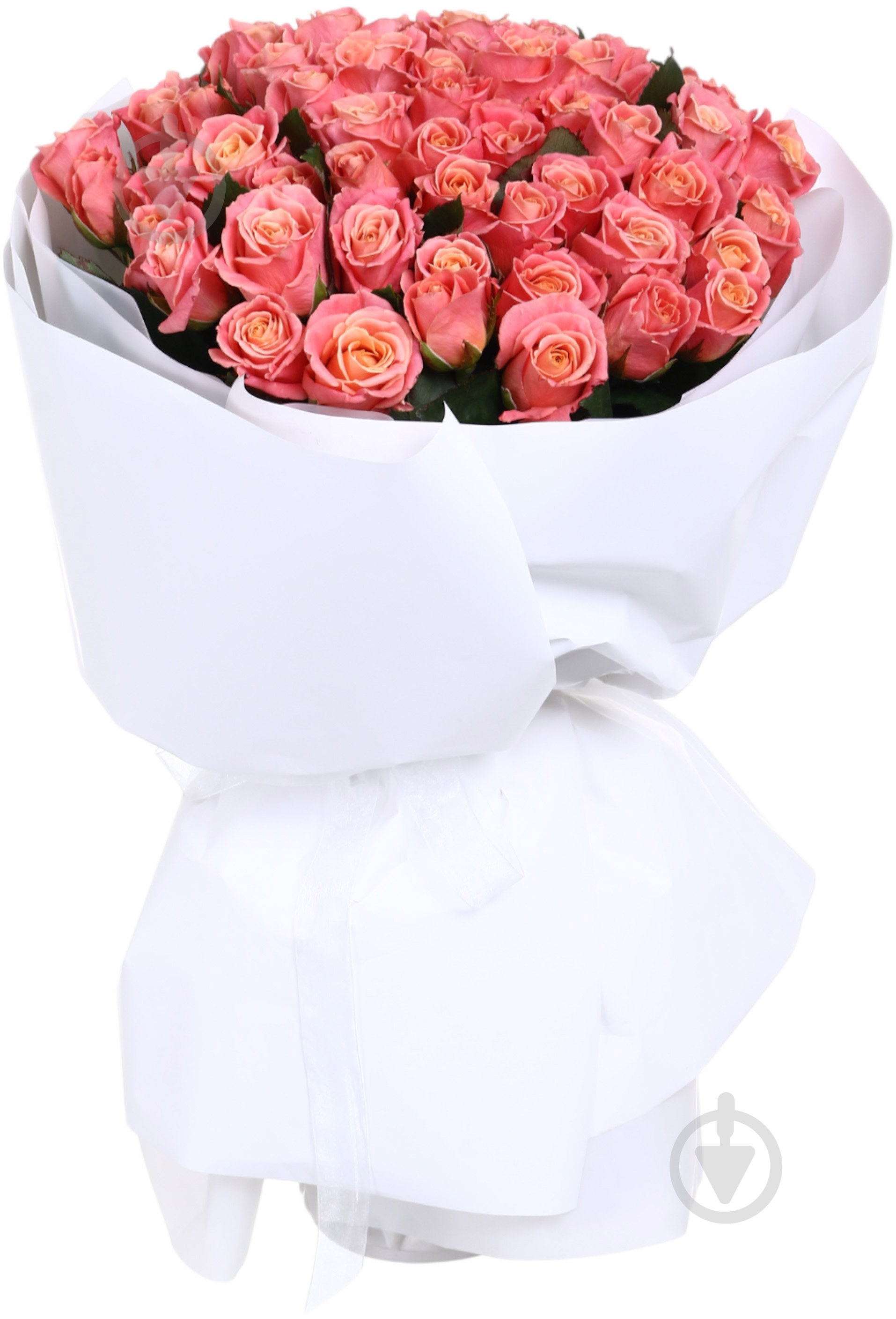 Троянда Міс Піггі одноголова класична 60 см помаранчева (Україна) - фото 3