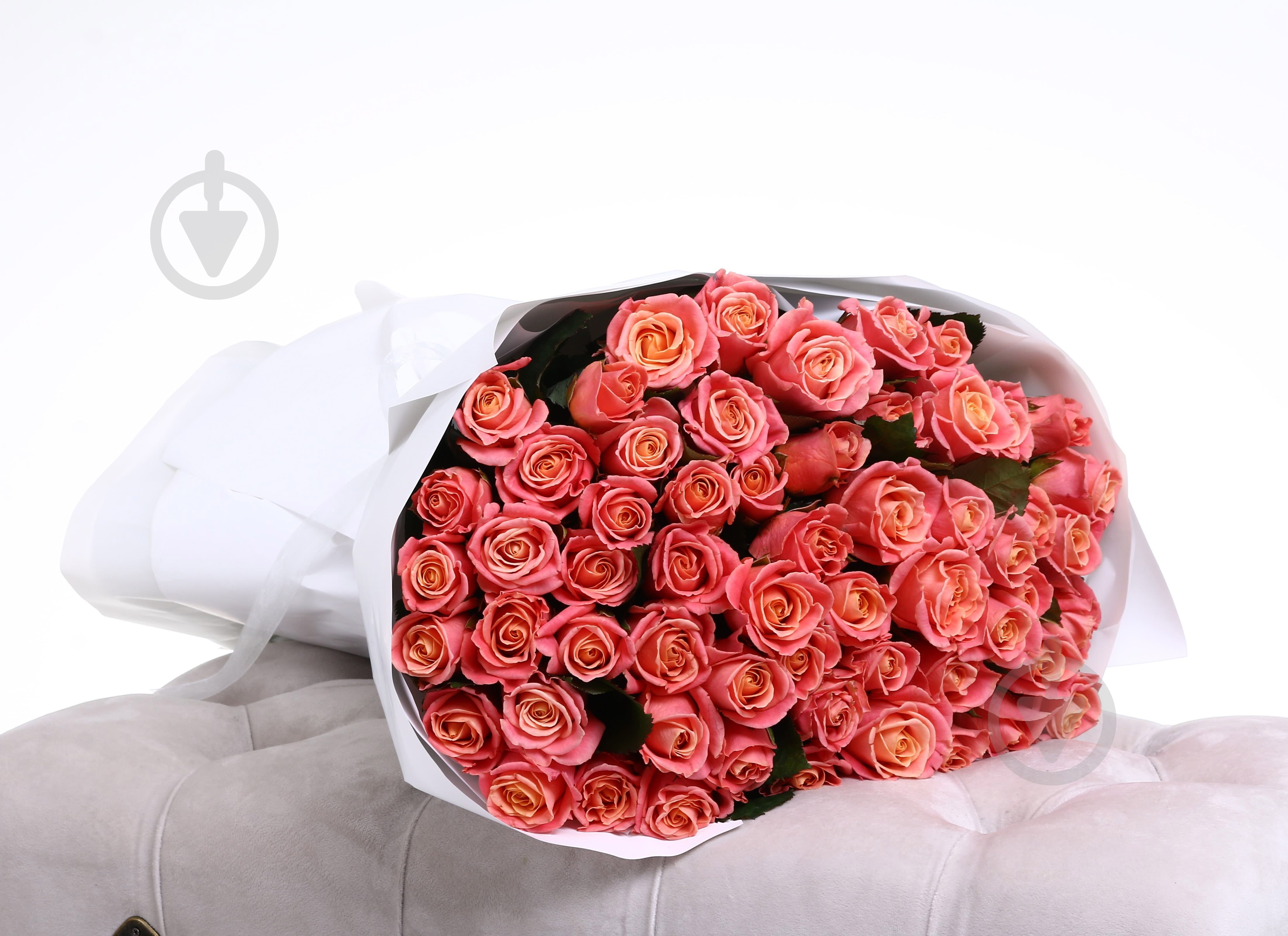 Троянда Міс Піггі одноголова класична 60 см помаранчева (Україна) - фото 4