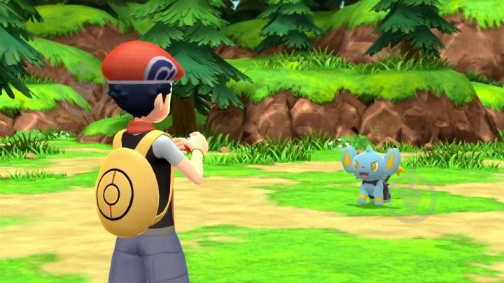 Игра NINTENDO Switch Pokemon Brilliant Diamond (English version) - фото 4