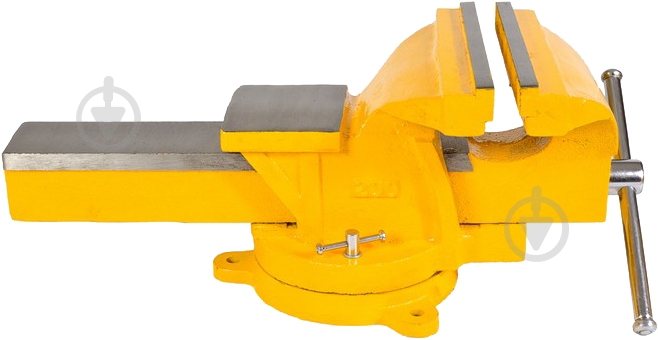 Лещата MasterTool 07-0220 - фото 1