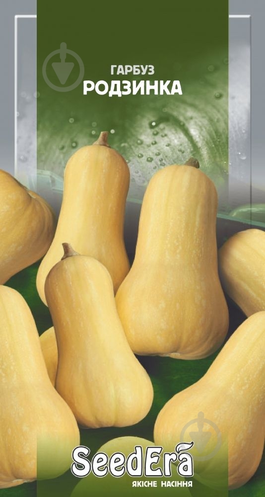 Семена тыква Изюминка 2 г SeedEra - фото 1