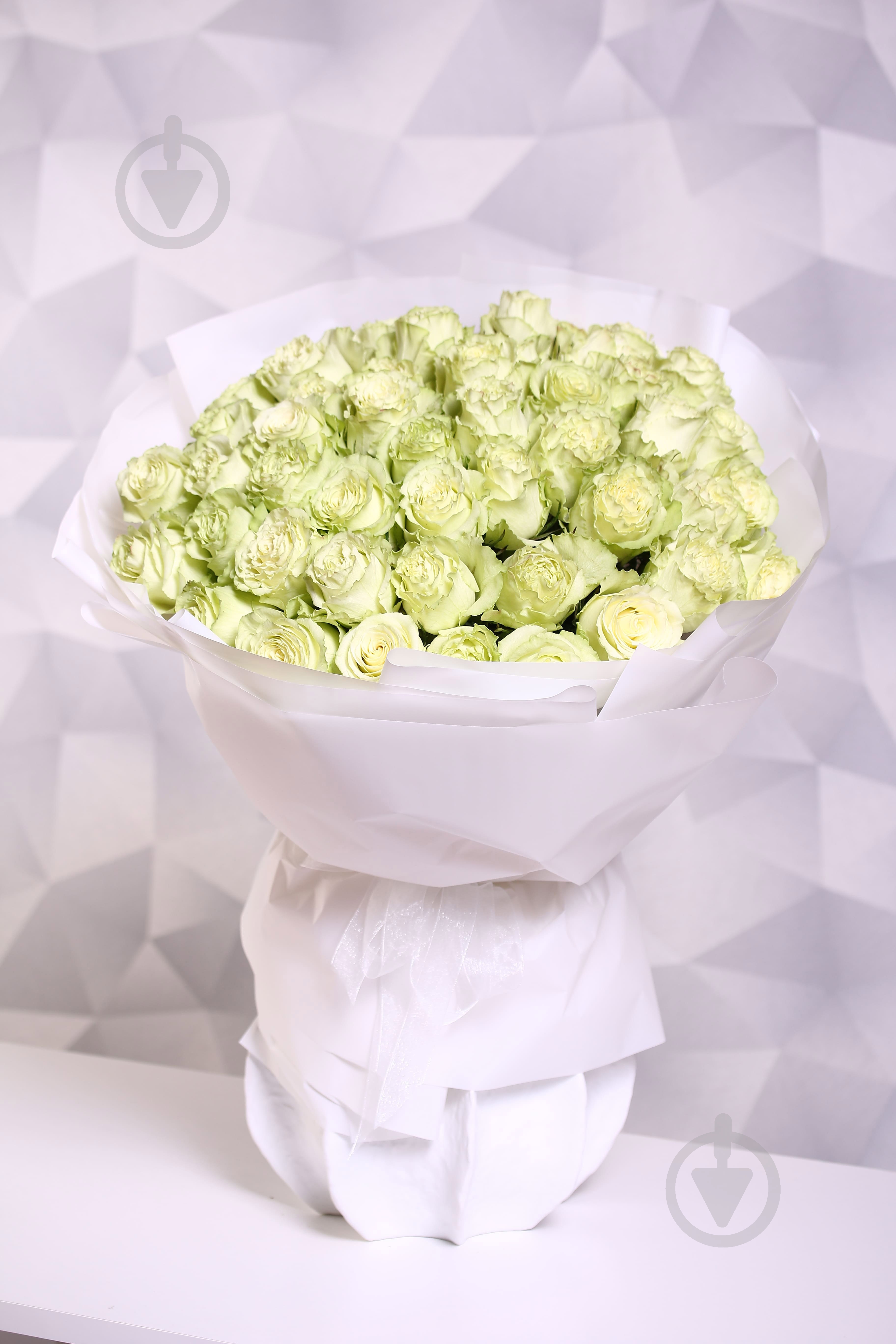 Роза Limonada одноголовая пионовидная 70 см зеленая (Нидерланды) - фото 4 Роза Limonada одноголовая пионовидная 70 см зеленая (Нидерланды) - фото 4