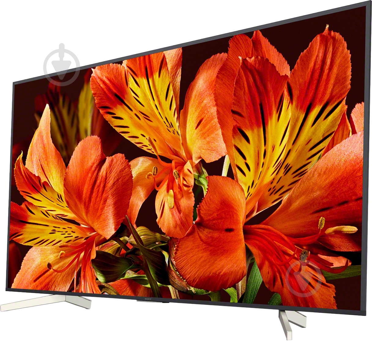 Телевизор Sony KD85XF8596BR2 XF85 - фото 3