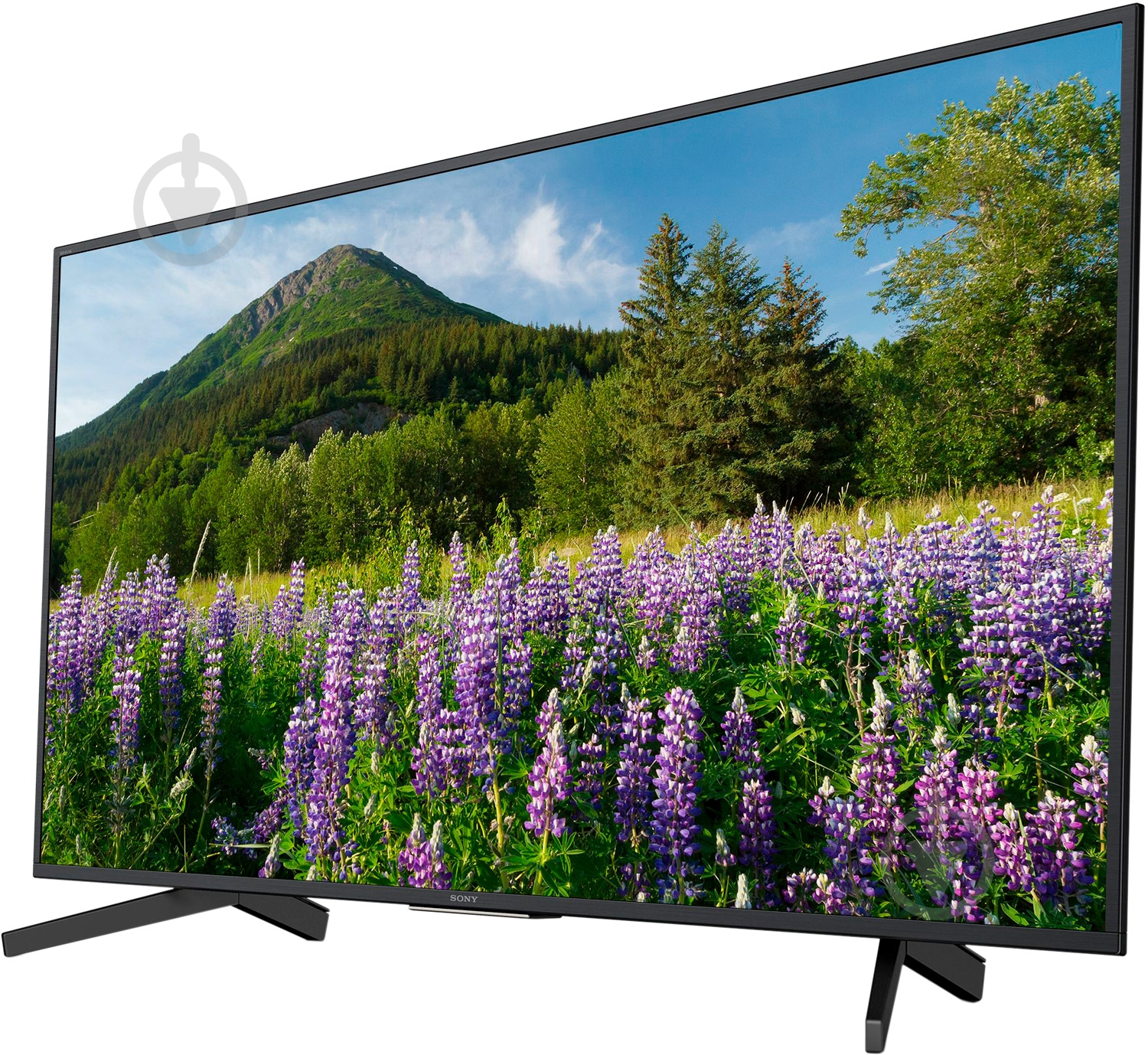 Телевизор Sony KD55XF7005BR2 - фото 3