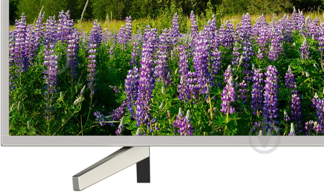 Телевизор Sony KD55XF7077SR2 - фото 5