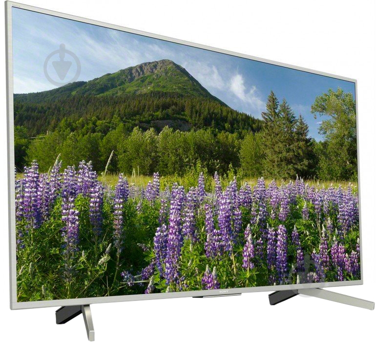 Телевизор Sony KD49XF7077SR2 XF70 - фото 2