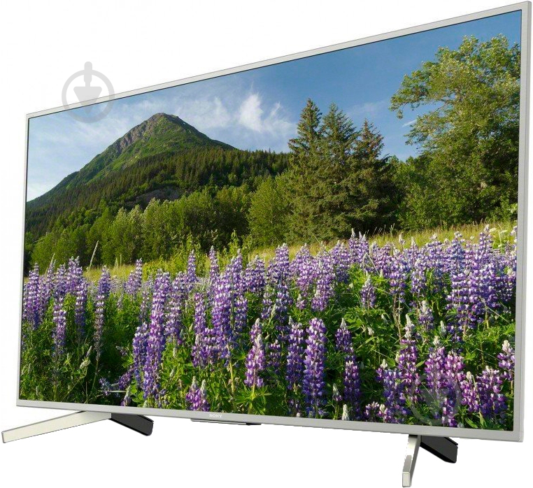Телевизор Sony KD49XF7077SR2 XF70 - фото 3