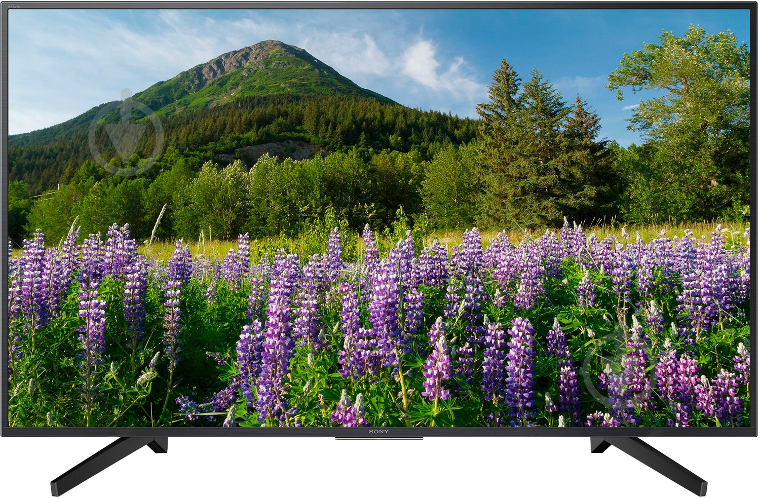 Телевизор Sony KD43XF7005BR - фото 1