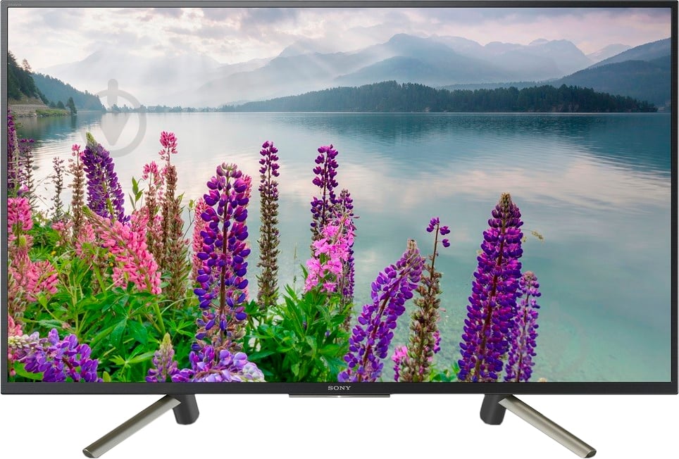 Телевизор Sony KDL49WF805BR WF80 - фото 1