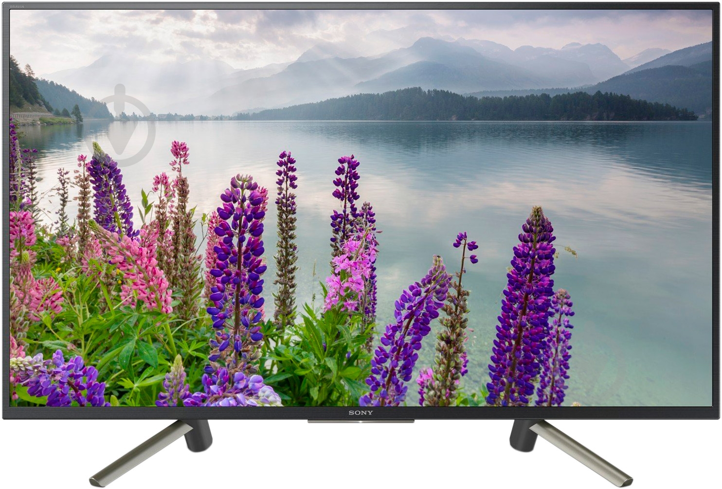 Телевизор Sony KDL43WF805BR - фото 1