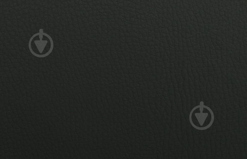 Кожзаменитель (41601023) черный - фото 1