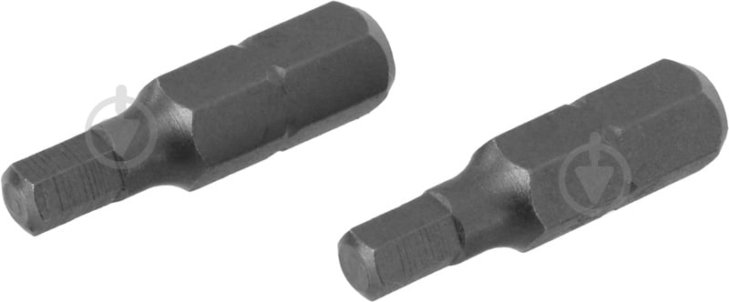 Бита Expert Fix HEX 4x25 мм 2 шт. 40114630 - фото 1