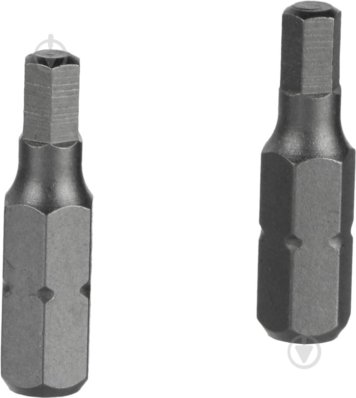 Бита Expert Fix HEX 4x25 мм 2 шт. 40114630 - фото 2