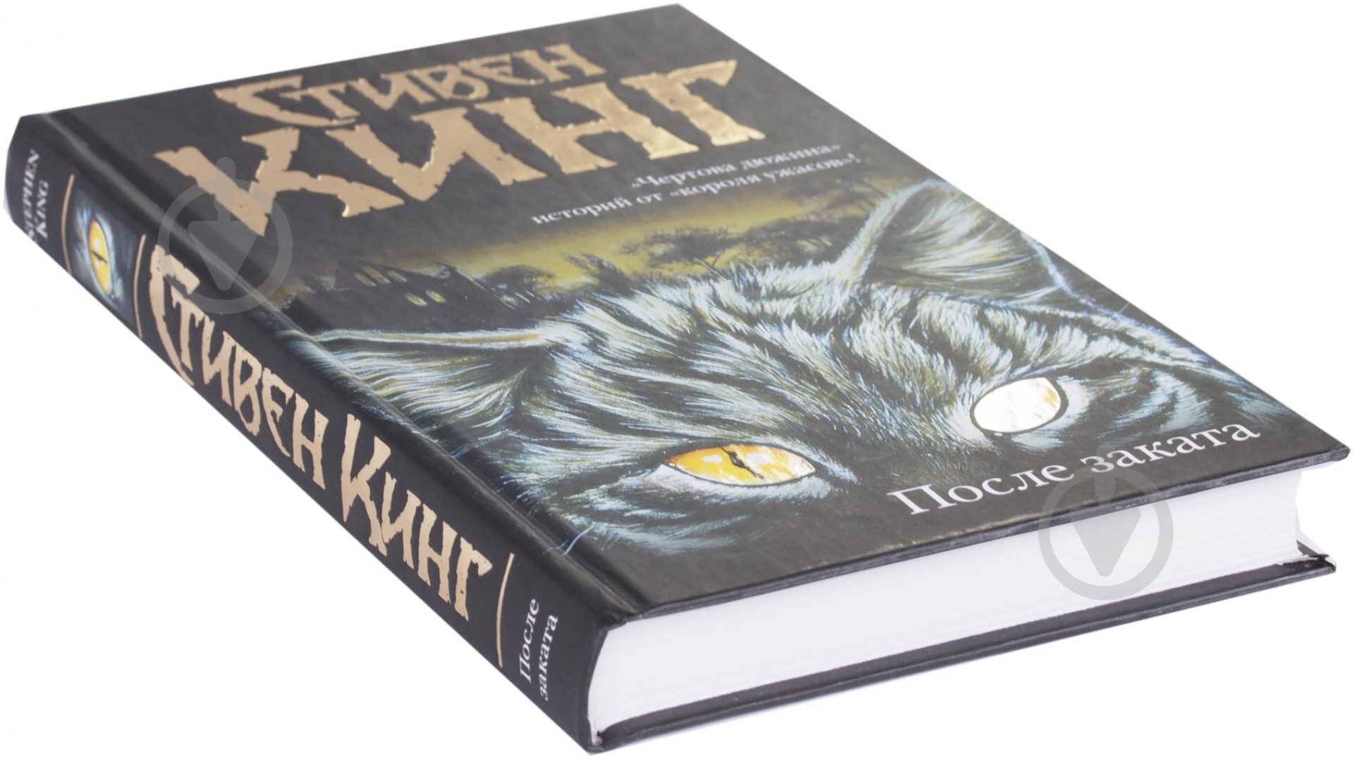 Книга Стивен Кинг «После заката» 978-5-17-071135-2 - фото 2