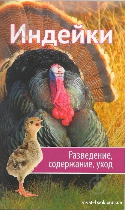 Книга Марина Романова «Индейки. Разведение содержание уход» 978-617-7203-48-2 - фото 2