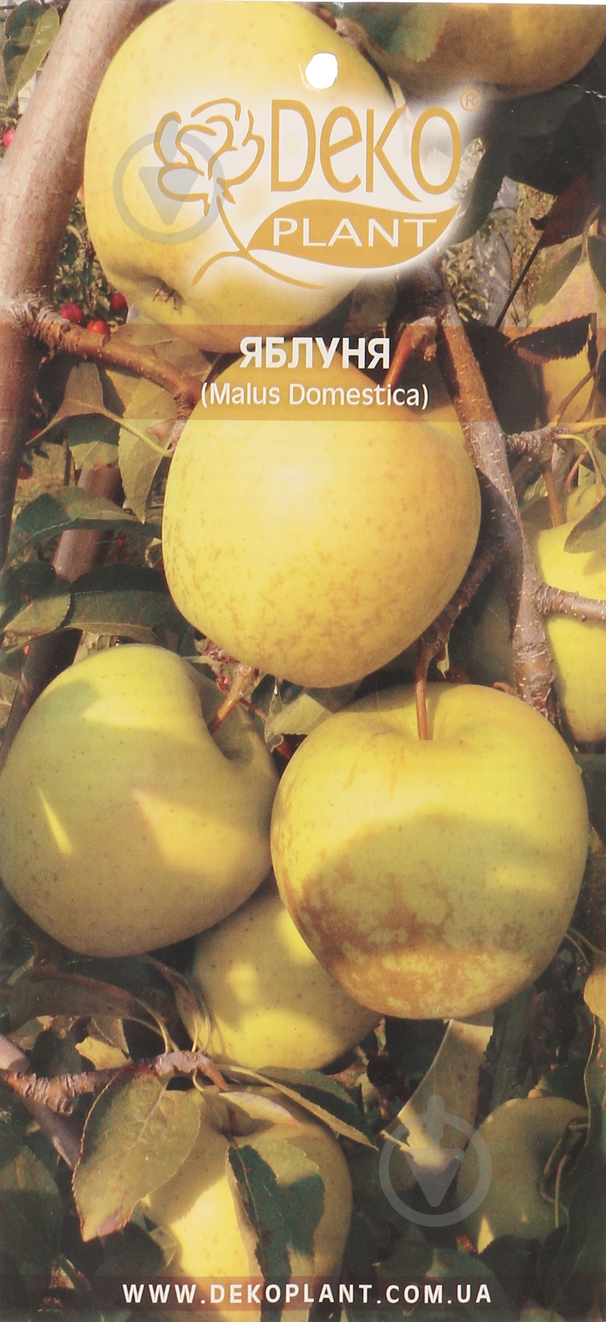 Саженец Dekoplant яблони пакет - фото 2
