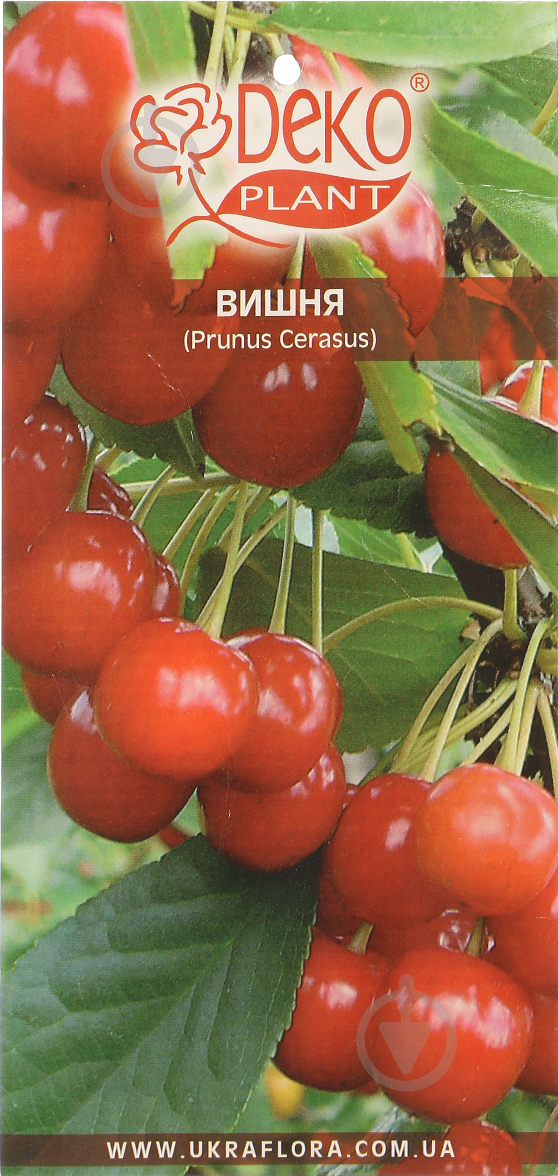 Саженец Dekoplant Вишни пакет - фото 2