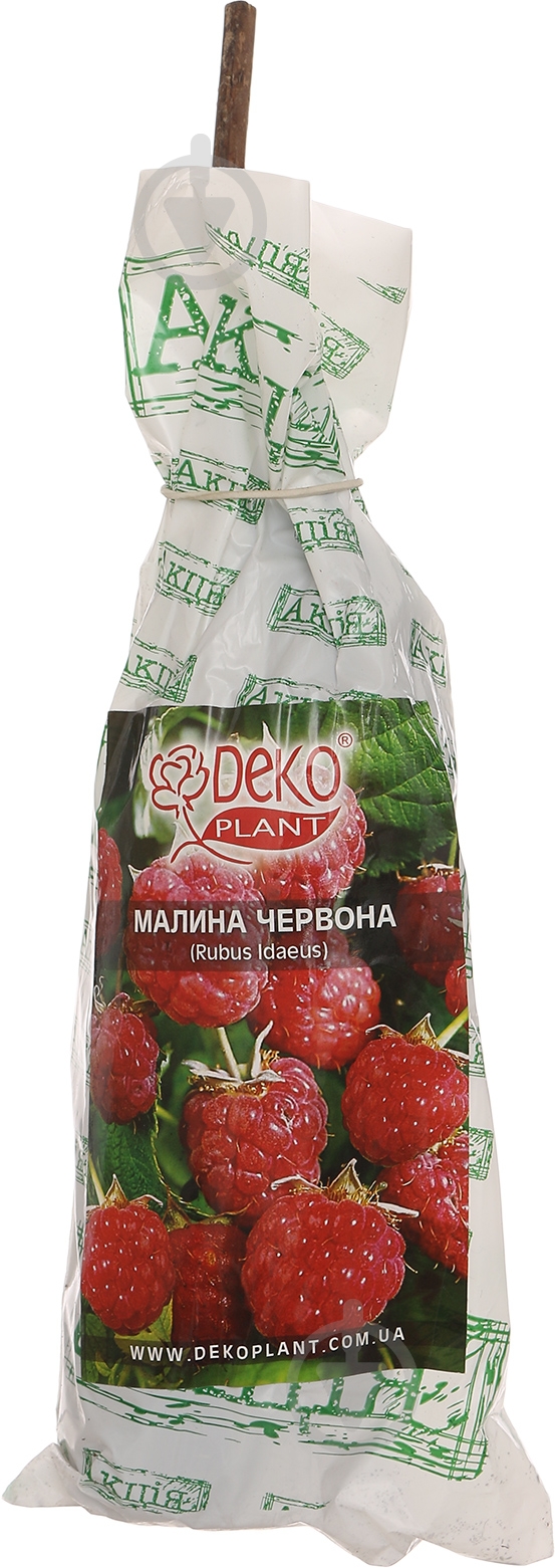Саженец Dekoplant Малина красная пакет - фото 1