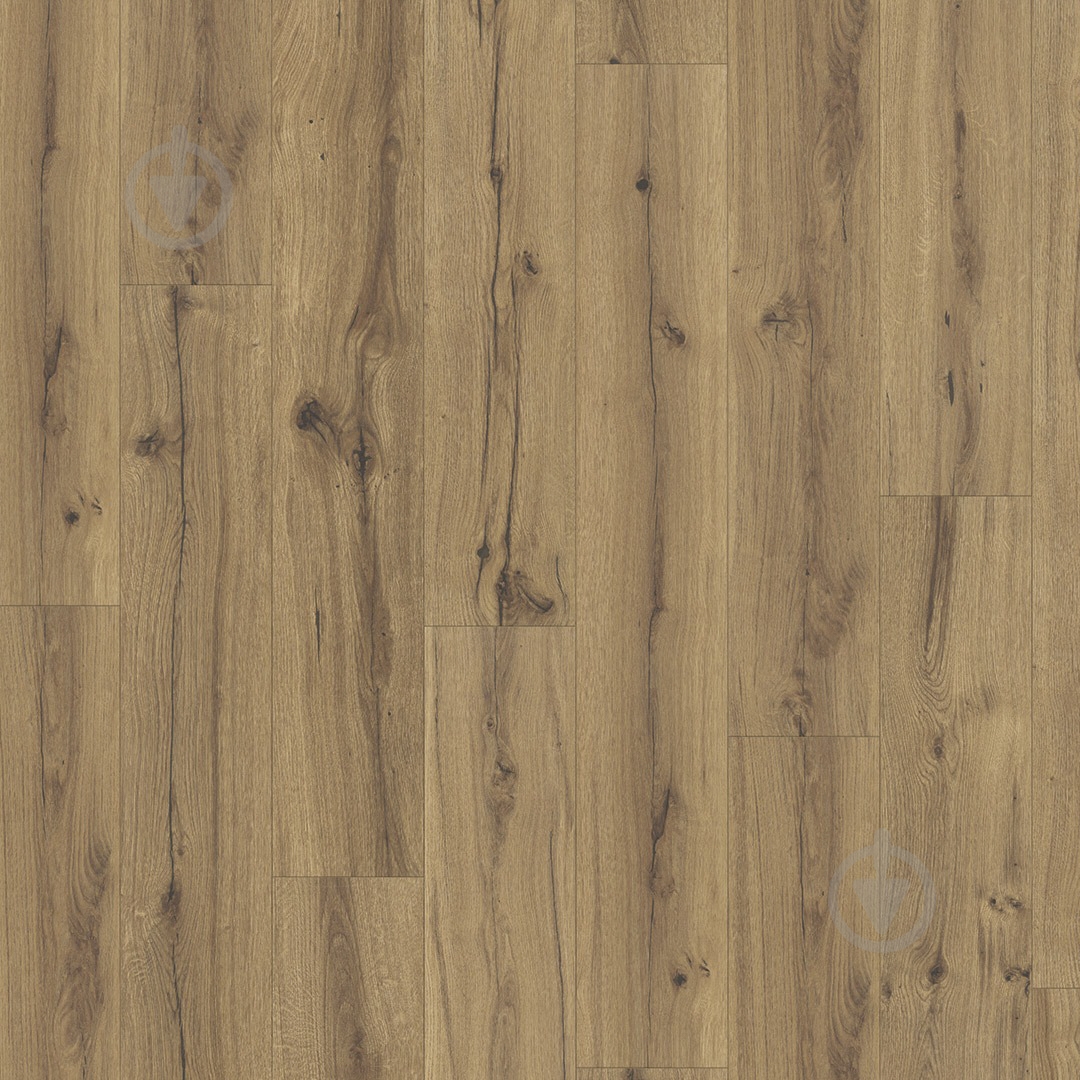 Ламинат PARADOR Basic 400 V4 дуб хистори 32/АС4/8 мм (1593795) - фото 1 Ламинат PARADOR Basic 400 V4 дуб хистори 32/АС4/8 мм (1593795) - фото 1