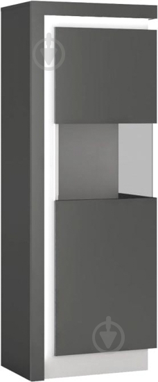 Витрина LYON LYOV01 P 1D платинум - фото 1