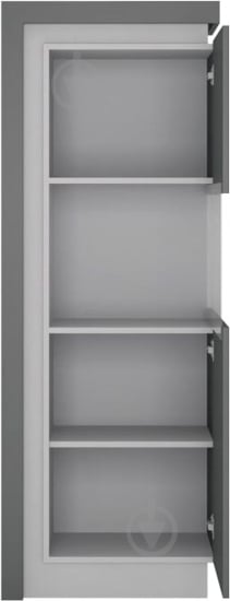 Витрина LYON LYOV01 P 1D платинум - фото 2